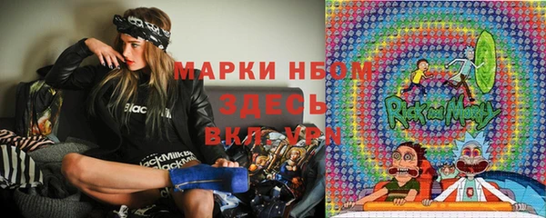 мдпв Алексин